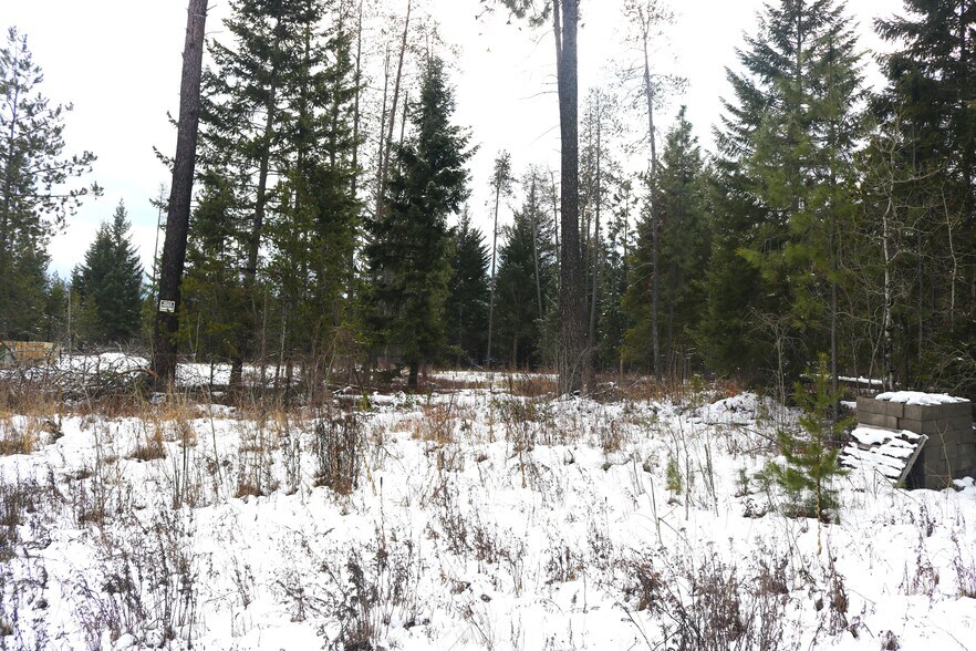 More Photos Of 31149 Old Hwy 95 hwy, Athol Land For Sale