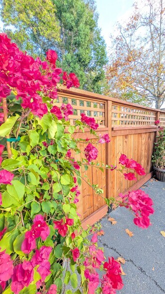 More Photos Of 802 College Ave, Kentfield Office For Sale