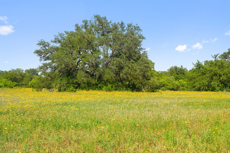 More Photos Of 534 County Road 407, Spicewood Land For Sale