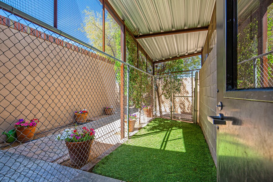More Photos Of 6909 E Lincoln Dr, Paradise Valley Veterinarian Kennel For Sale