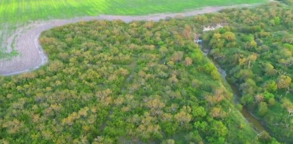 More Photos Of 0 CR 20, Petronila Land For Sale