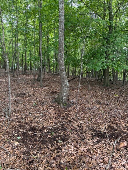 More Photos Of 357 Linwood dr, Gainesville Land For Sale
