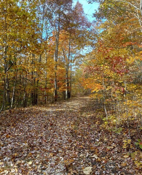 More Photos Of 1737A High Rock Rd, Stanton Land For Sale