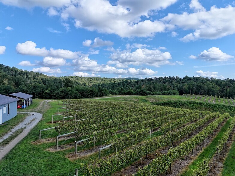 More Photos Of 781 Payne dr, Zirconia Land For Sale