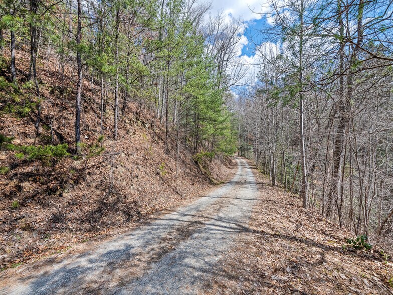 More Photos Of 5262 US Highway 74 W, Whittier Storefront Retail Residential For Sale