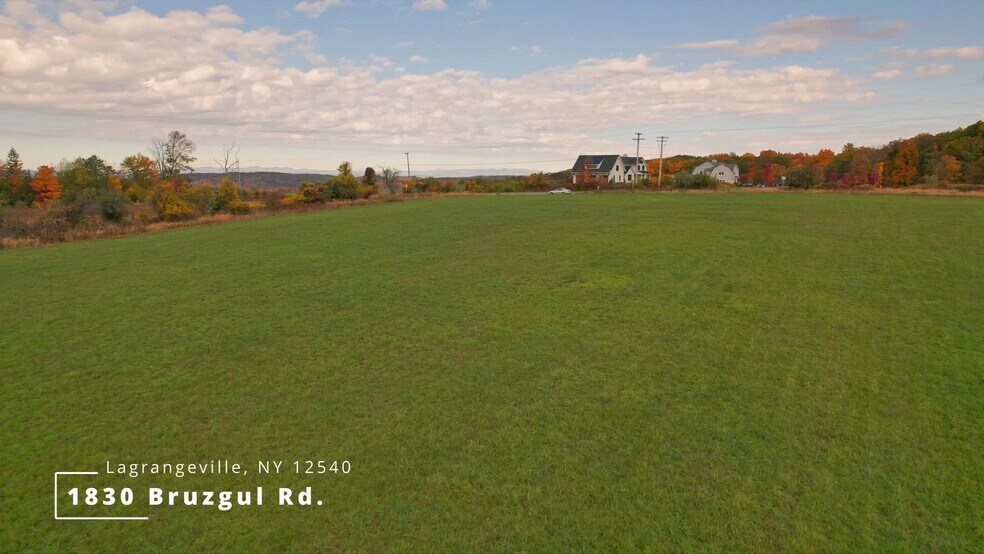 Primary Photo Of 1830 Bruzgul Rd, Lagrangeville Land For Sale