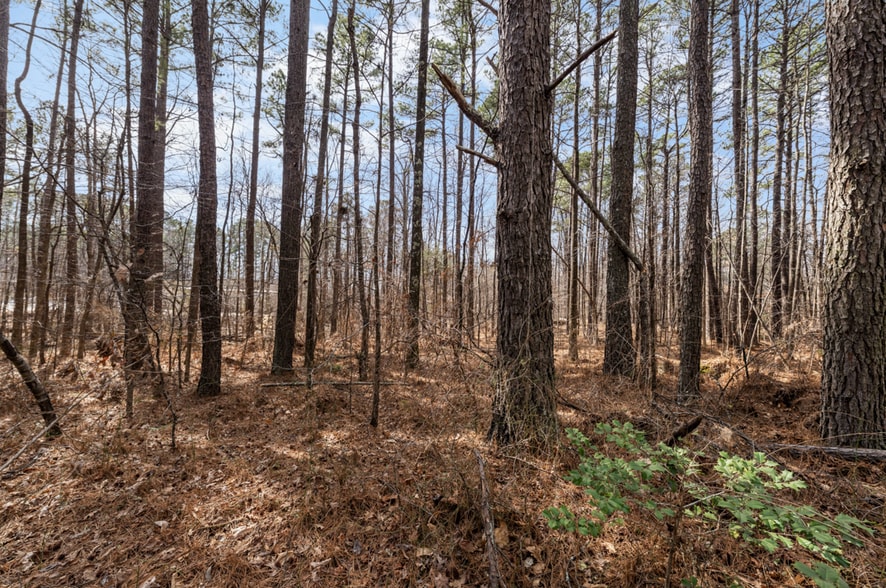 More Photos Of 3415 Industrial Dr, Durham Land For Sale