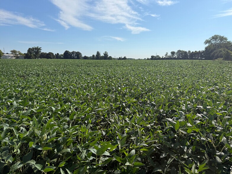 More Photos Of 7535 S 600 E, Columbia City Land For Sale