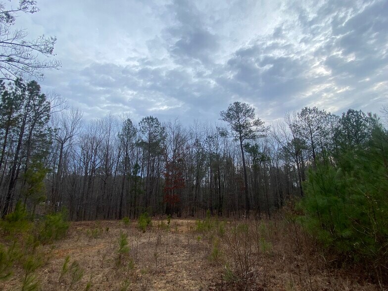 More Photos Of 140 Cora Dr, Columbia Land For Sale