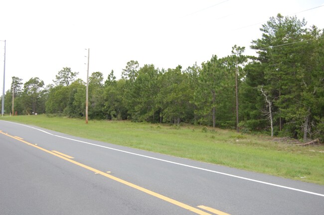 More Photos Of N State Road 21, Keystone Heights Land For Sale