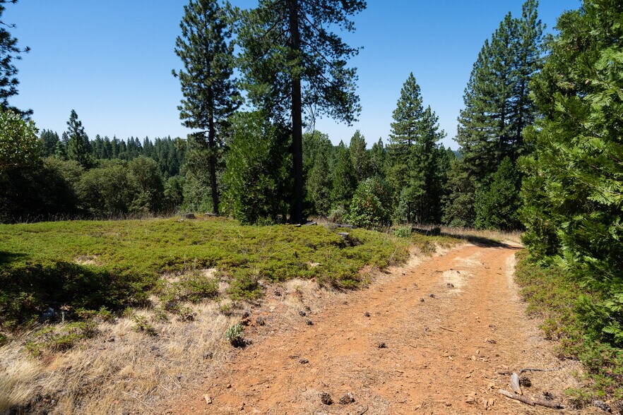 25755 State Highway 88, Pioneer, CA 95666 Land For Sale