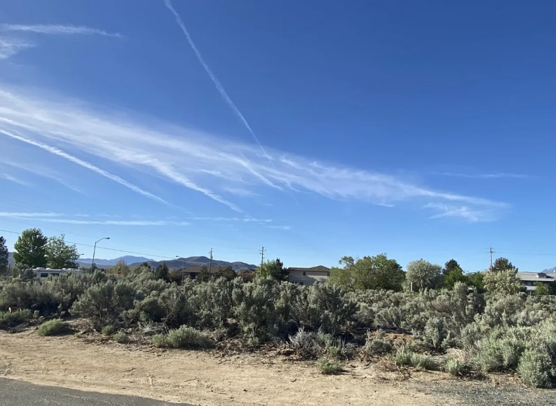 Primary Photo Of 4631 Snyder Ave, Carson City Land For Sale