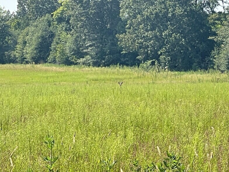 More Photos Of 17192 Co 21 rd, Marion Junction Land For Sale