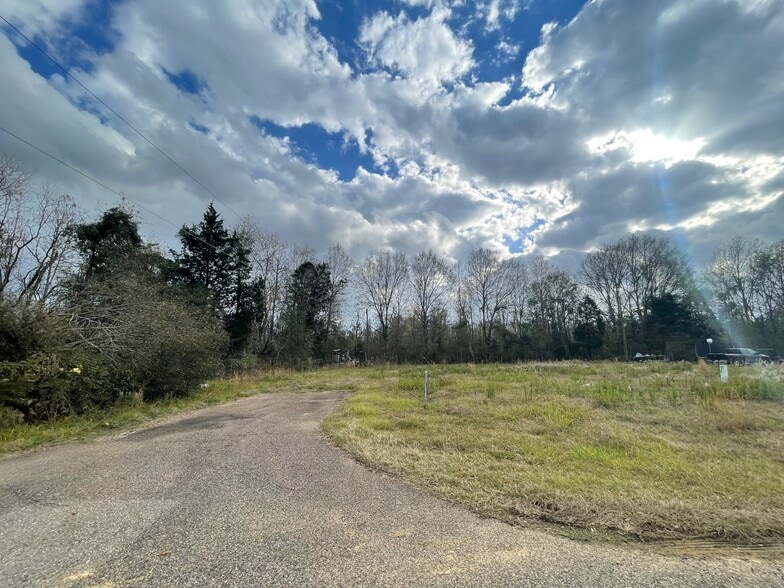 Primary Photo Of Charles Davis, Amite Land For Sale