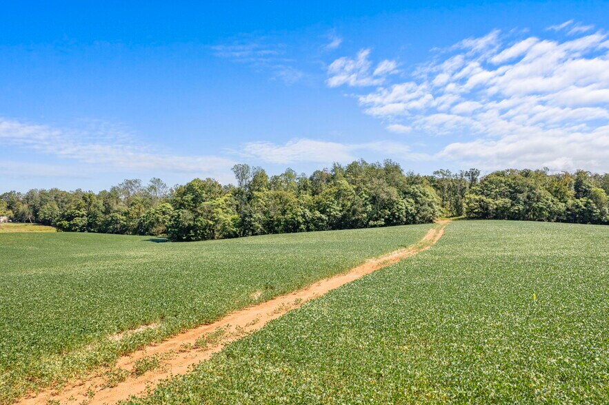 More Photos Of Moore Road @ Forest Lane, Ruckersville Land For Sale