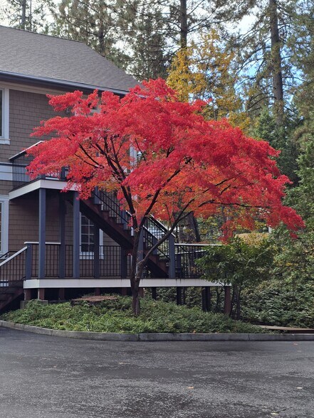 More Photos Of 103 Providence Mine Rd, Nevada City Office For Lease