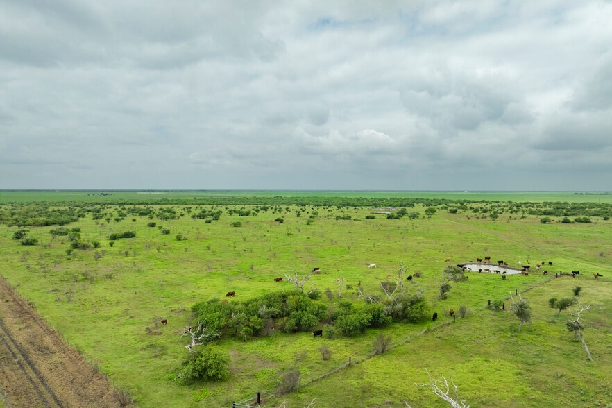 More Photos Of 1038 FM 1360, Woodsboro Land For Sale