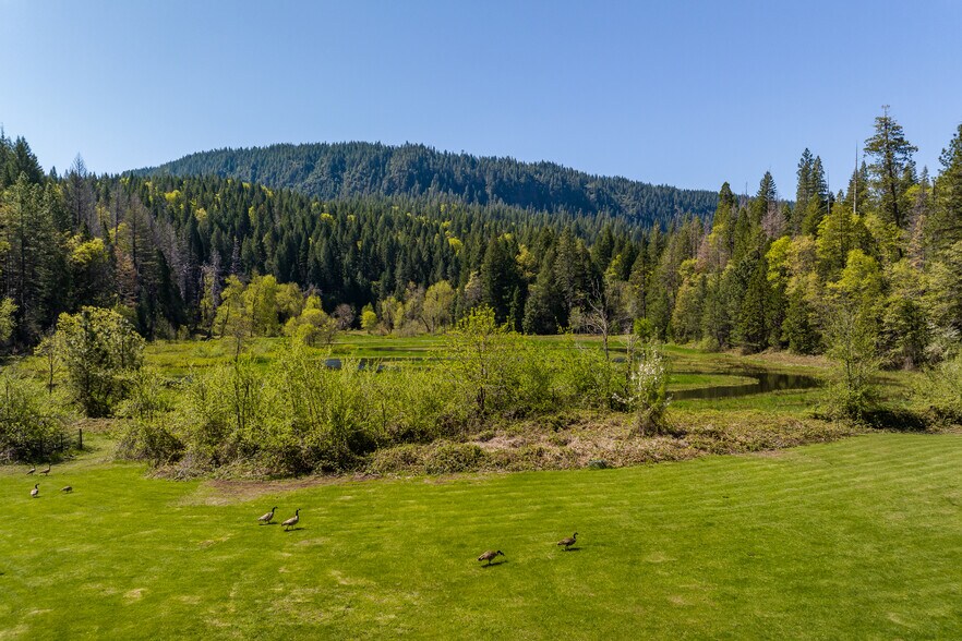 More Photos Of 31419 Hagen Flat rd, Big Bend Land For Sale