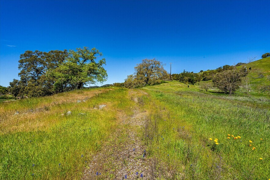 More Photos Of 4500 Lovall Valley Loop Rd, Sonoma Land For Sale