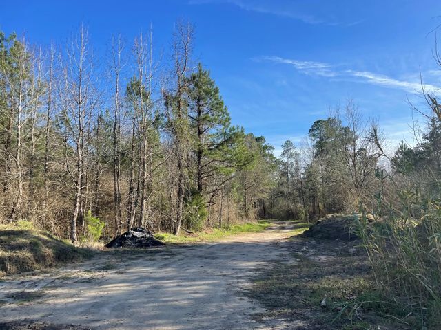 Primary Photo Of 0 Railroad North, Harleyville Land For Sale