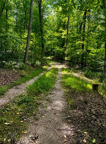 More Photos Of 466 Sparta Ave, Sparta Land For Sale