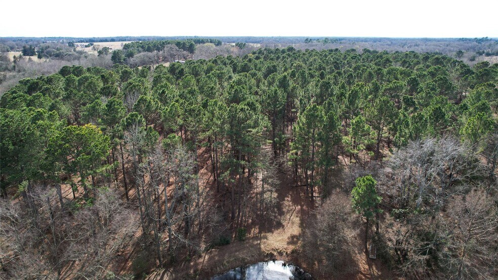 More Photos Of 2801 TX-11, Pittsburg Land For Sale