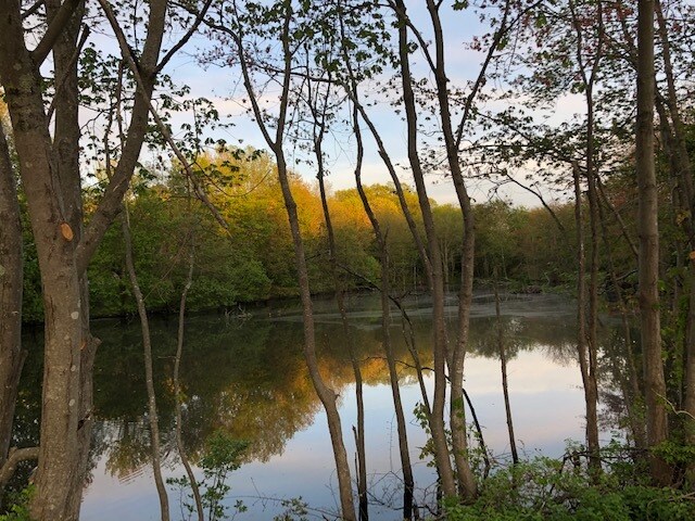 More Photos Of 960 Killingworth Rd, Higganum Land For Sale