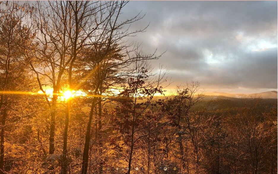 Primary Photo Of Blue Ridge Heights Drive @ Zell Miller Mountain Pkwy, Blue Ridge Land For Sale