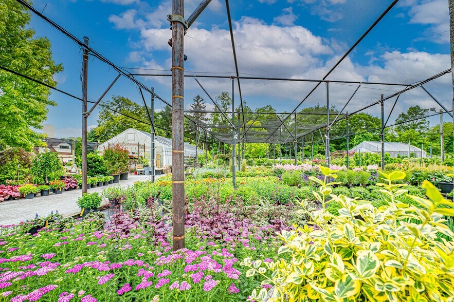 More Photos Of 185 N Country Rd, Mount Sinai Garden Center For Sale