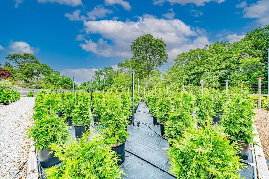 More Photos Of 185 N Country Rd, Mount Sinai Garden Center For Sale