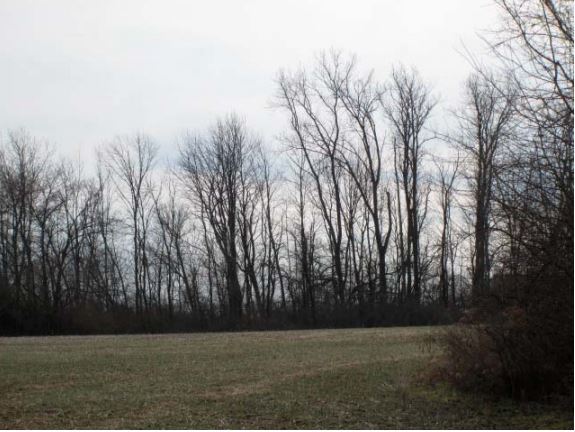 More Photos Of 0 Lyons Rd, Miamisburg Land For Sale