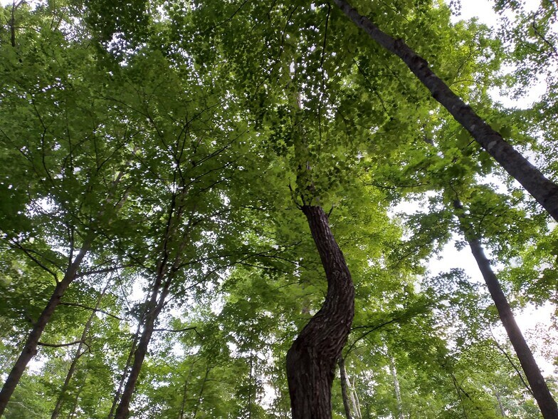 More Photos Of 1737A High Rock Rd, Stanton Land For Sale