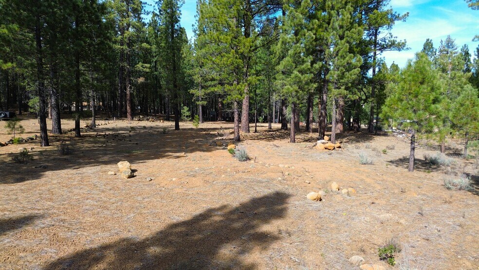 More Photos Of 42451 Blue Heron cir, Old Station Land For Sale