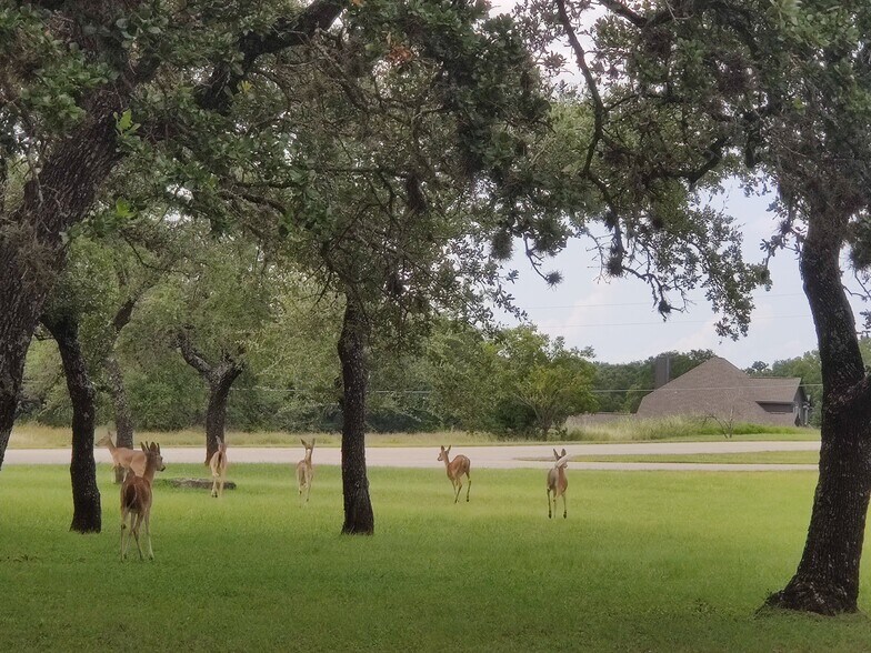 More Photos Of 400 Old Highway 290, Dripping Springs Assisted Living For Lease