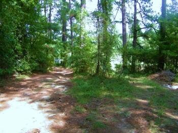 More Photos Of 350 Cromer Rd, Lexington Land For Sale