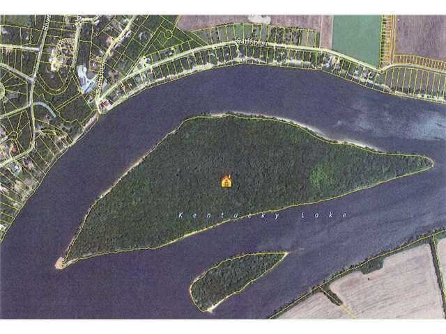 More Photos Of Wolf Island, Savannah Land For Lease