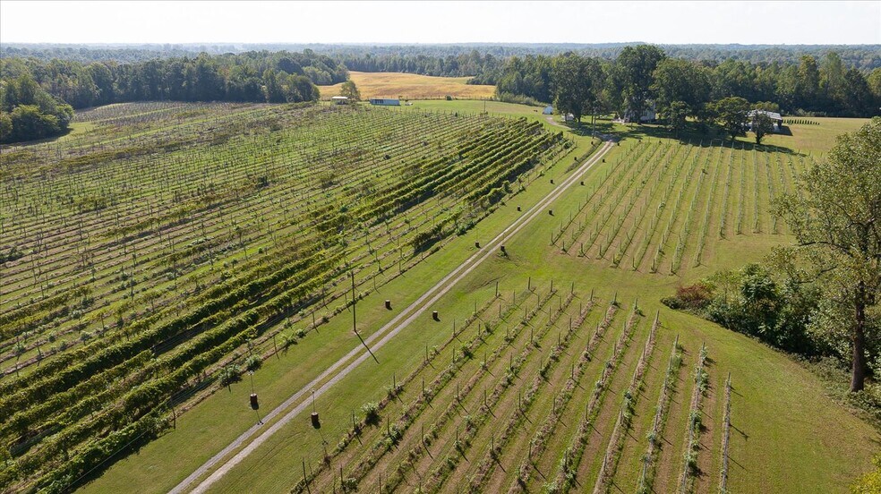 More Photos Of 667 Hustle Rd, Hustle Winery Vineyard For Sale