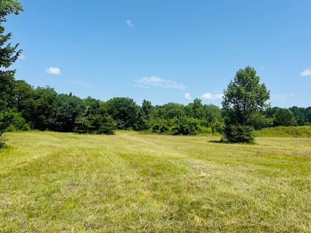More Photos Of 16963 Interstate 45 N, Willis Land For Sale