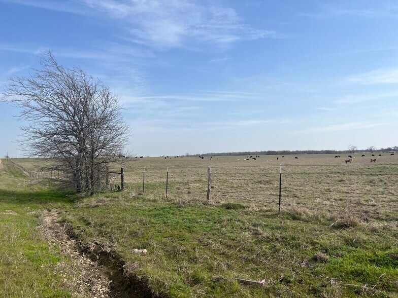 More Photos Of 564 County Road 249A, Cameron Land For Sale