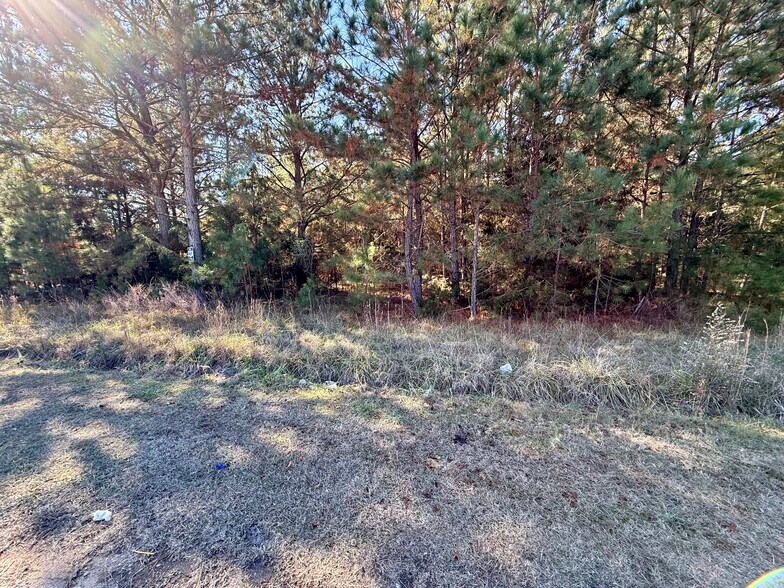 More Photos Of 4212 US Highway 378 W, Mc Cormick Land For Sale