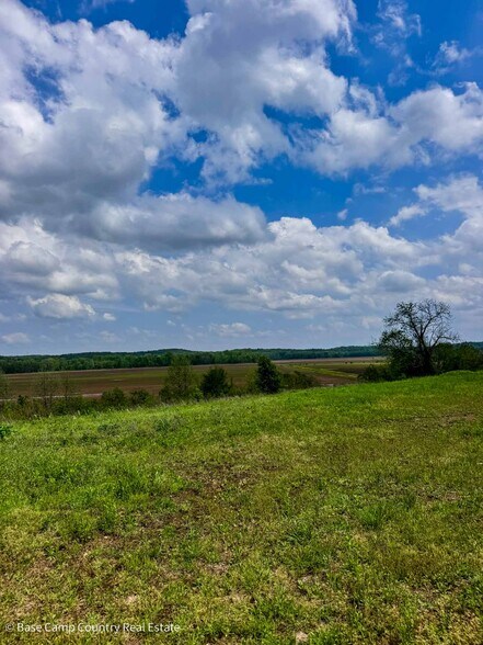 More Photos Of 7434 State Highway 51, Zalma Land For Sale