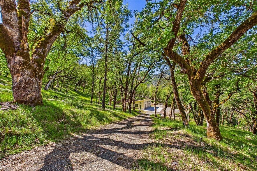 More Photos Of 6691 Reading Creek Rd, Douglas City Land For Sale