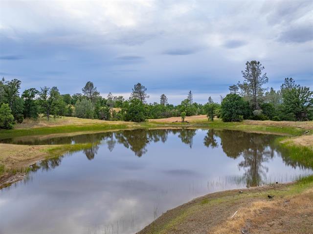 More Photos Of 14015 Hwy 36 W, Cottonwood Land For Sale