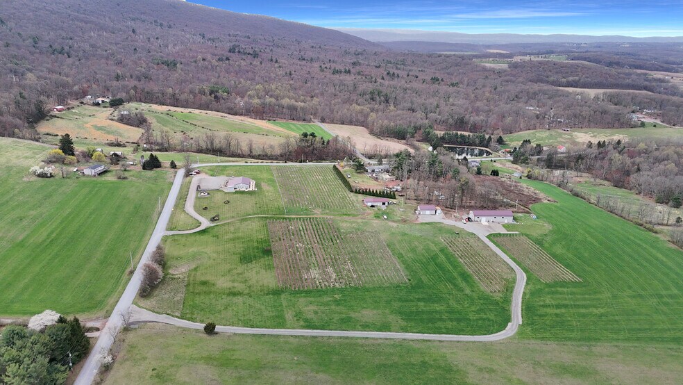 More Photos Of 596 Harman Rd, Halifax Winery Vineyard For Sale