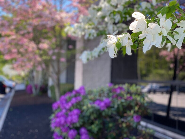 More Photos Of 13 Branch St, Methuen Medical For Lease