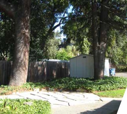More Photos Of 1535 Treat Blvd, Walnut Creek Office For Sale