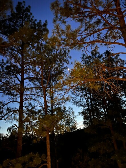 More Photos Of 125 Laurel Ct, Prescott Specialty For Sale