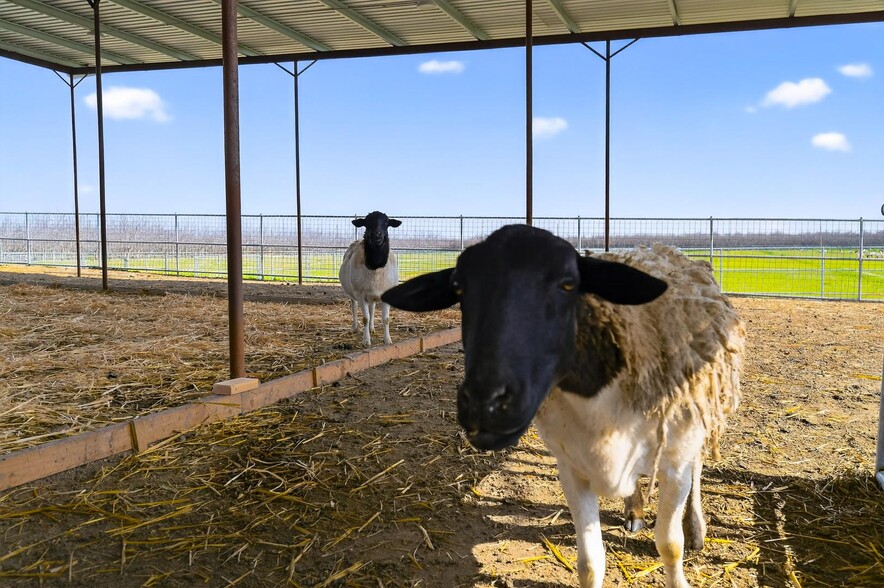 Primary Photo Of 6873 20th Ave, Lemoore Land For Sale