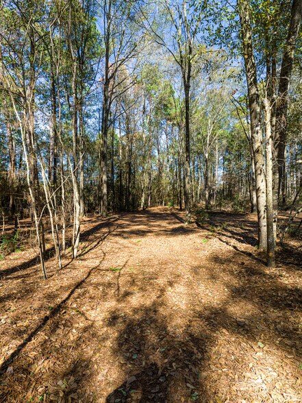 More Photos Of 11201 County Road 203, Plantersville Specialty For Sale