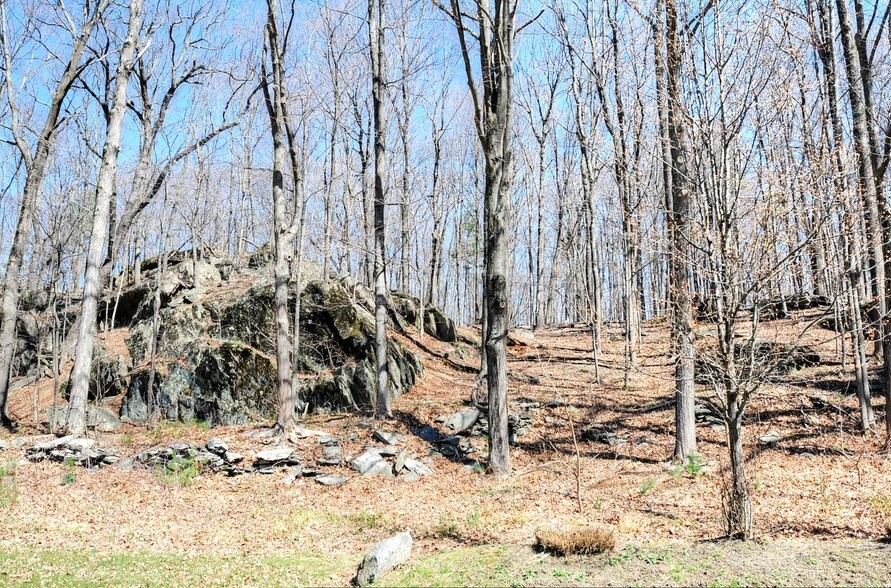 More Photos Of 10 Boice Rd, Hyde Park Medical For Sale